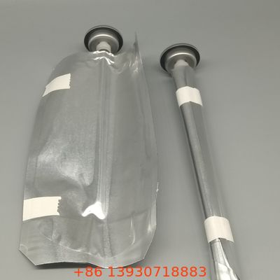 Sistema versátil de bolsa en válvula para productos químicos industriales y productos de alta viscosidad con integridad completa de la fórmula y pulverización en cualquier ángulo