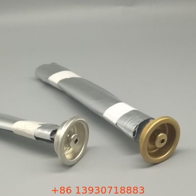 Embalaje sostenible de bolsa en válvula para marcas eco-conscientes con dispensación de producto puro sin propelente y alta reciclabilidad