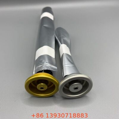 Bolsa hembra sobre válvula para productos sensibles al oxígeno y larga vida útil